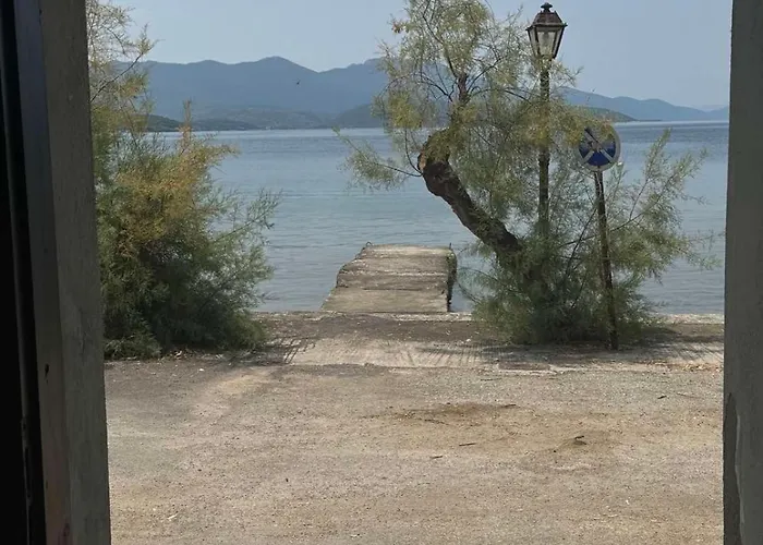 Atesi House-chorto * Хортон